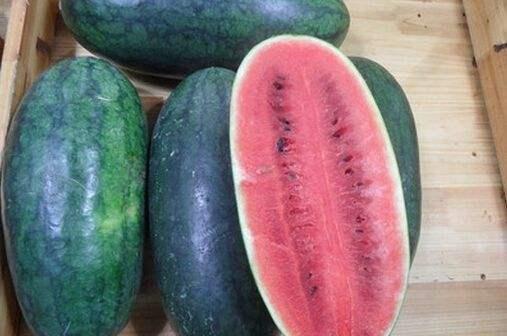 山东两位网红吃瓜视频,一场意外的“吃瓜”盛宴