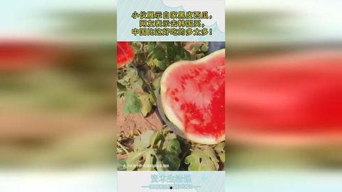 大陆网友吃瓜,揭秘娱乐圈最新热点事件