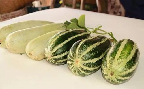 长春网红刘祉辰吃瓜