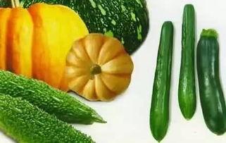 吃瓜网官方多少,带你领略幕后故事与精彩瞬间