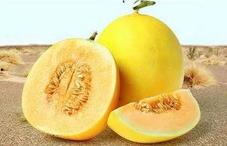 166.su.吃瓜网,揭秘娱乐圈最新热点，带你畅游八卦海洋