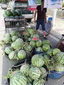 莒县网红吃瓜事件,一场网络狂欢背后的真相与反思