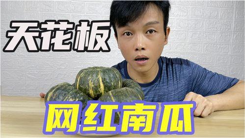 网红界的吃瓜群是什么意思