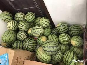 茂名网红吃瓜视频,揭秘当地美食与趣事