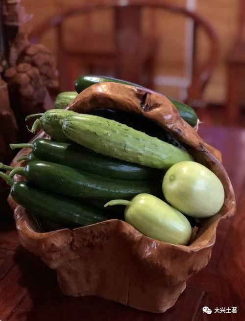 吃网红的瓜的群,网络社交背后的八卦风云