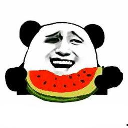 长青大学熊猫duck瓜吃瓜网