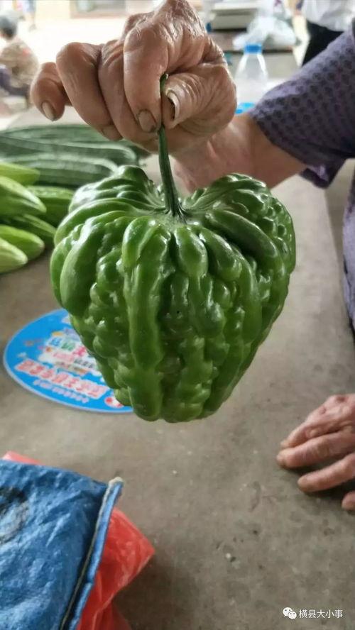 浚县网红吃瓜爆料,揭秘当地热点事件背后的真相