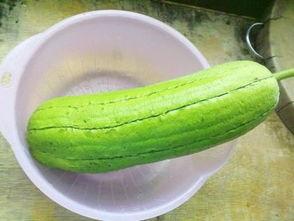 网红吃的水瓜图片,水瓜美食大揭秘