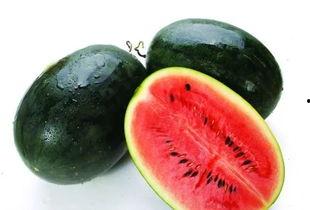 海南网瓜怎么吃,解锁热带水果的多样美味吃法